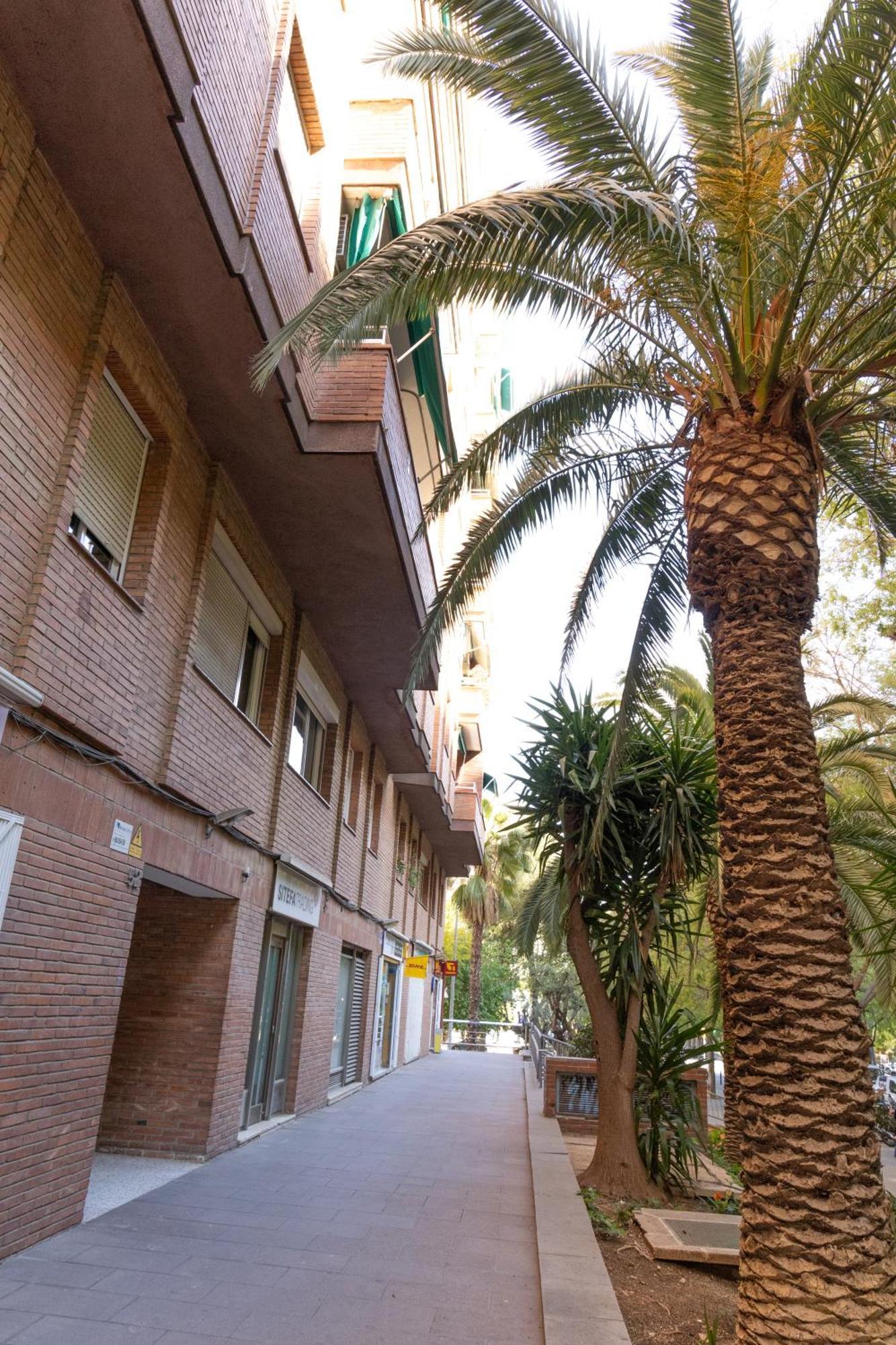 Apartment Precioso Atico Vistas Montjuic Barcelona